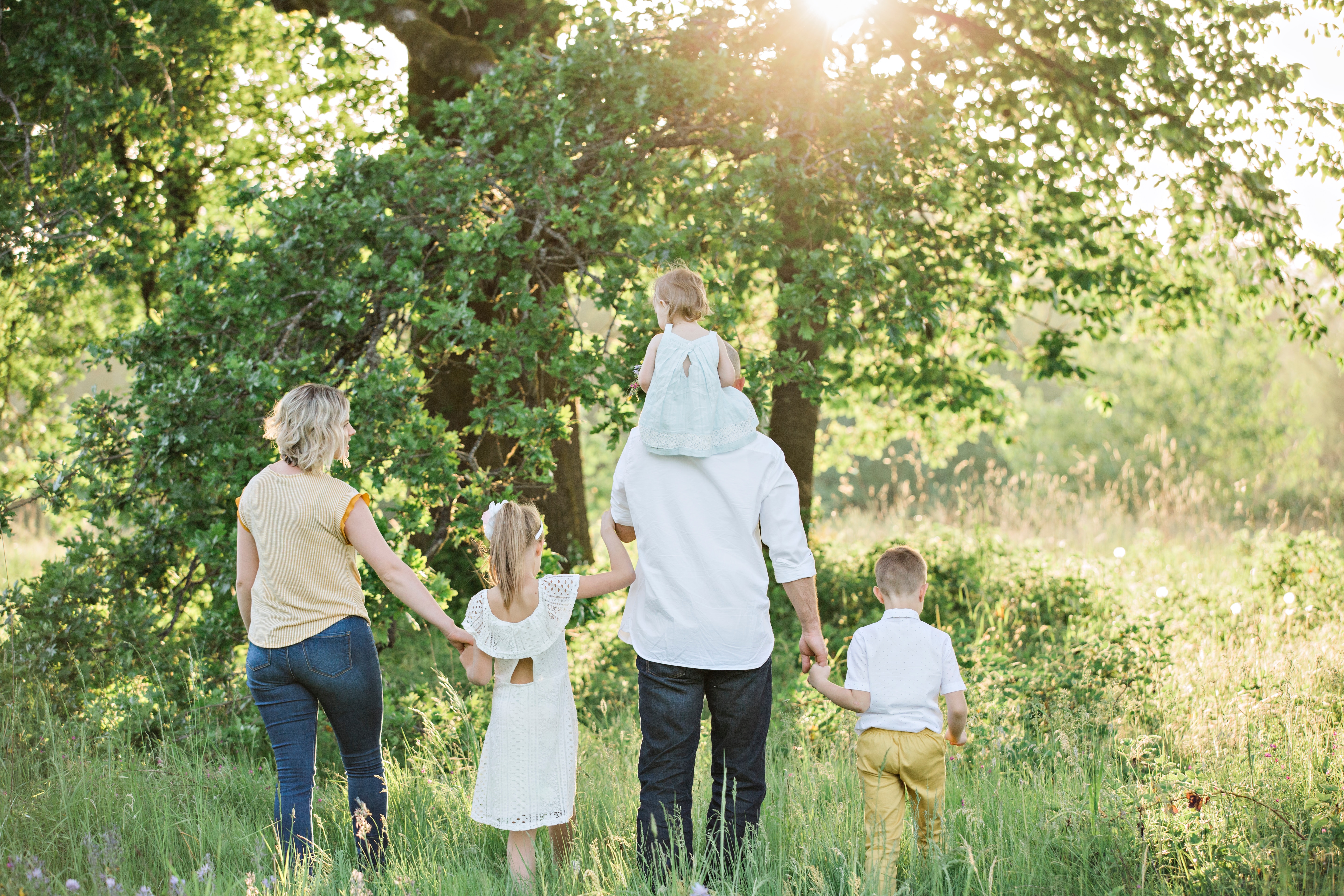 family lawyers