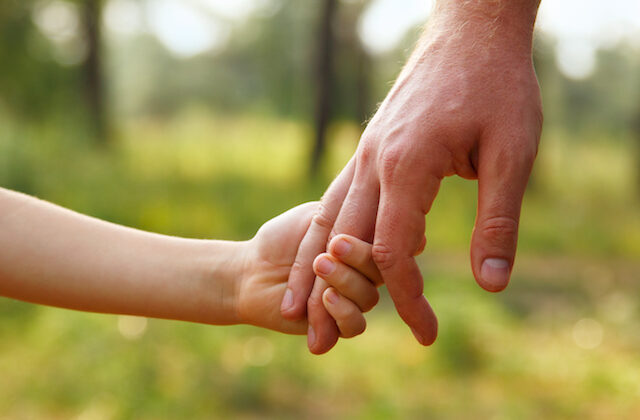 father's hand lead his child son in summer forest nature outdoor family lawyers