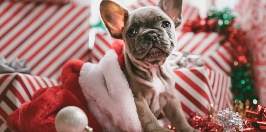 jakob-owens-484963-unsplash family lawyers