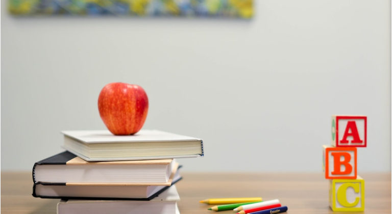 wl1-1 Who pays for school fees & other activities after divorce?