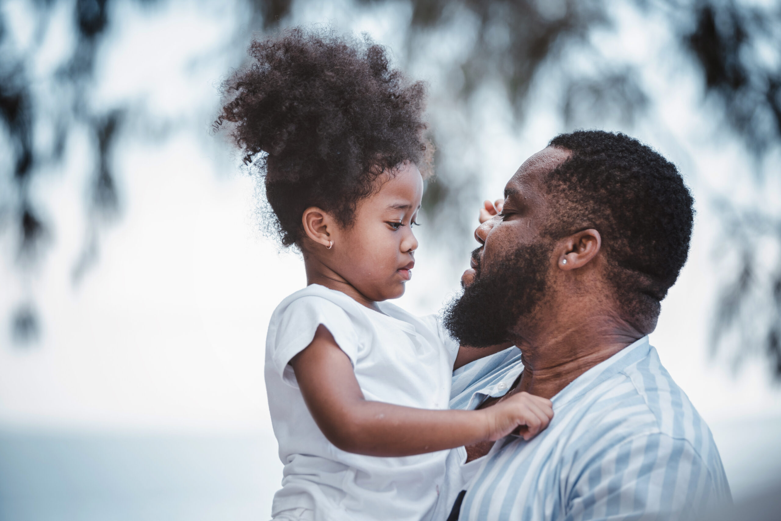 how often do fathers get 50/50 custody Australia cairns